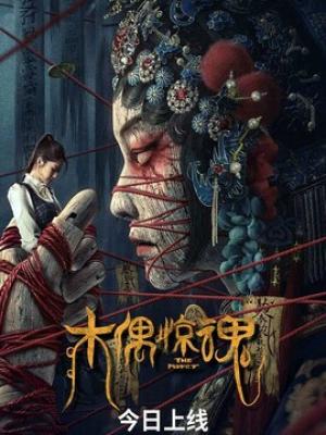 热播推荐5